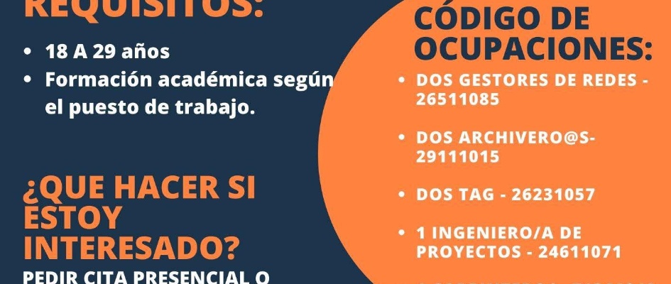 WhatsApp Image 2026-02-12 at 15.29.58