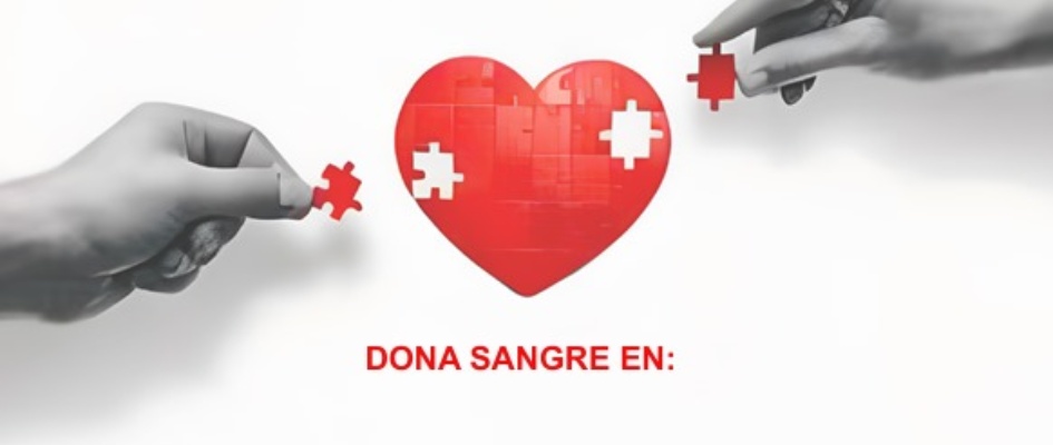 Imagen de WhatsApp 2025-01-08 a las 10.45.59_2b992916