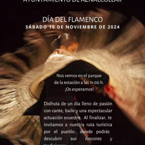 Imagen de WhatsApp 2024-11-12 a las 20.49.03_047829ec