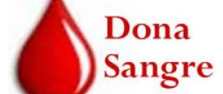 donar-sangre-segura1.jpg