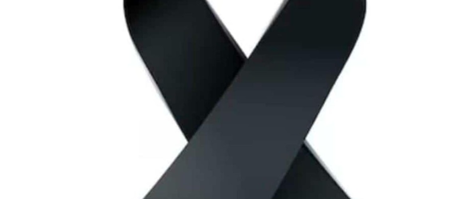 Imagen de WhatsApp 2025-01-08 a las 20.38.51_629dd540